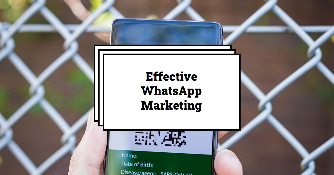 Blazehost | Effective WhatsApp Marketing Strategies for Small Businesses